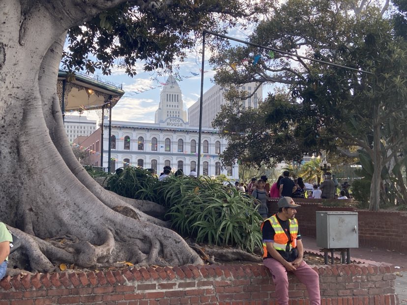 In downtown Los Angeles, a man sits beside a large tree in El Pueblo de Los Angeles with Victorian Pico House and Art Deco Los Angeles City Hall in background on To Live and Dine in LA Food Tours' Chinatown and Olvera Street Food Tour.
