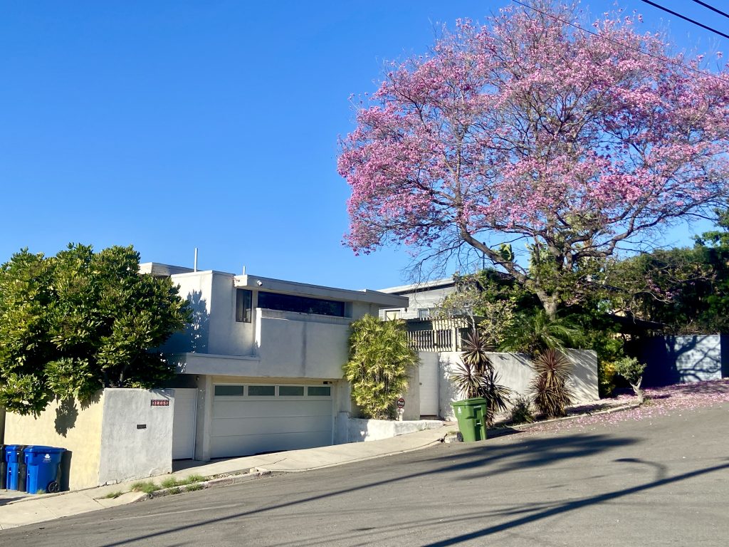 Famous modernist architecture by Rudolph Schindler on a food tour of Los Angeles run by To Live and Dine in LA Food Tours.